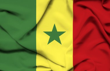 Senegal dalgalanan bayrak