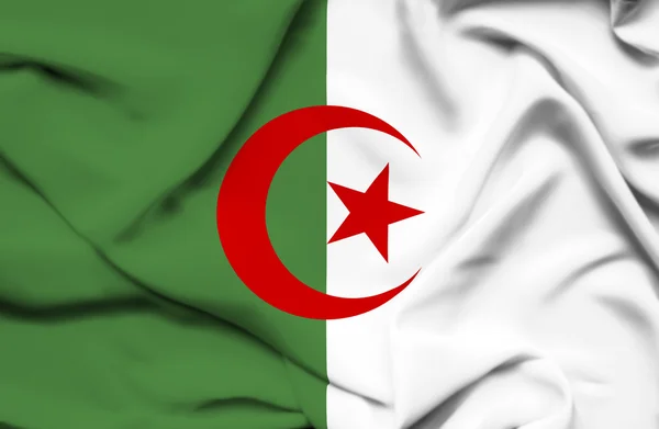 Argélia acenando bandeira — Fotografia de Stock