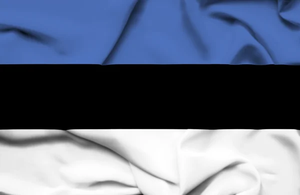 爱沙尼亚挥动国旗 — 图库照片