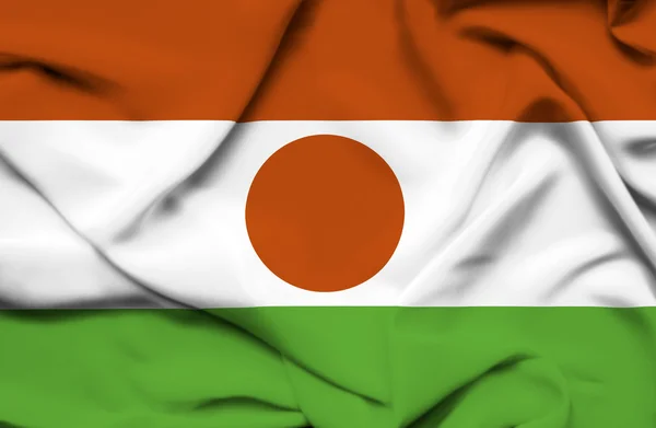 Wapperende vlag van Niger — Stockfoto