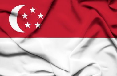 singapoore sallanan bayrak