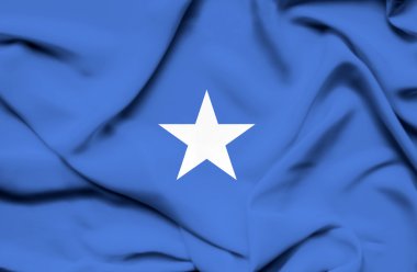 Somali dalgalanan bayrak