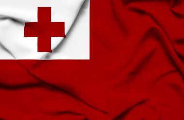 Tonga dalgalanan bayrak