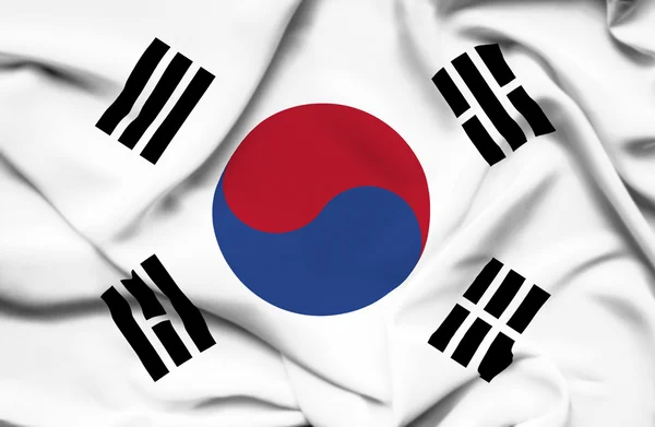 Южная Корея размахивает флагом — стоковое фото
