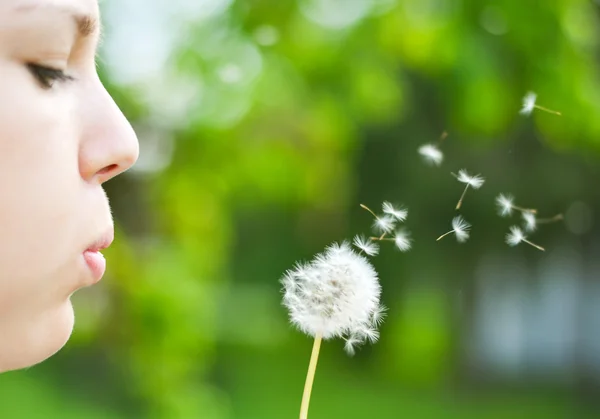 Nahaufnahme einer Frau, die Löwenzahnblume bläst — Stockfoto