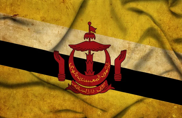 Brunei schwenkt Flagge — Stockfoto