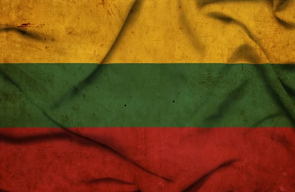 Litvanya dalgalanan bayrak — Stok fotoğraf