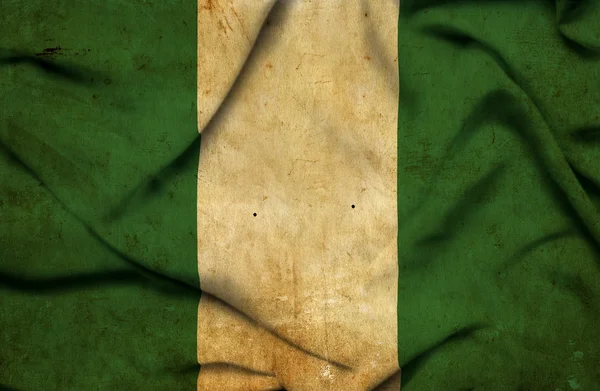 Nigeria agitant le drapeau — Photo