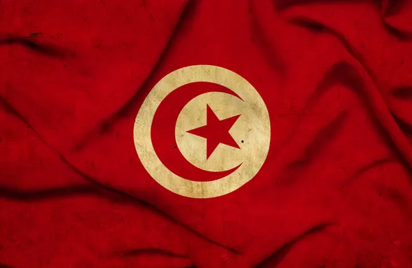 Tunisie agitant le drapeau — Photo