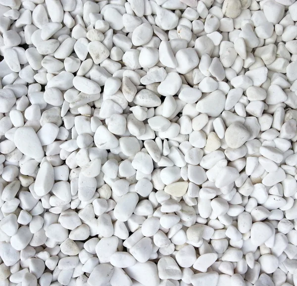 Branco seixo pedra fundo — Fotografia de Stock