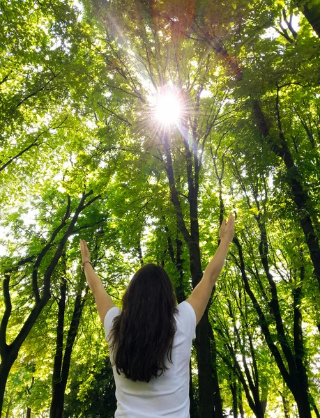 Молодая женщина с поднятыми руками наслаждается свежим воздухом в зеленом для — стоковое фото