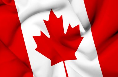 Kanada dalgalanan bayrak