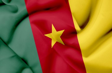 Kamerun dalgalanan bayrak