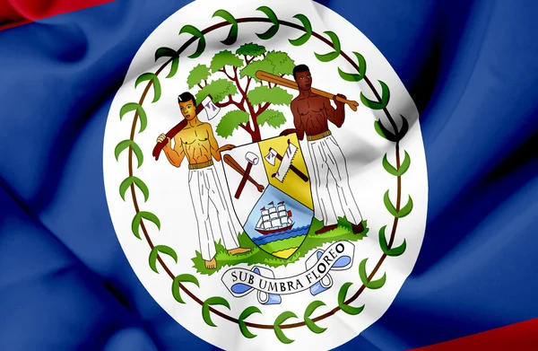 Belize schwenken Flagge — Stockfoto