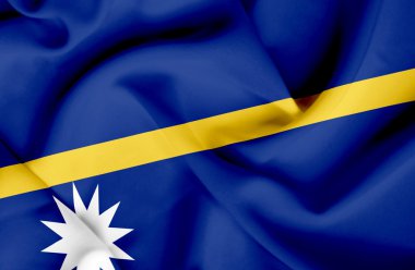 Nauru dalgalanan bayrak