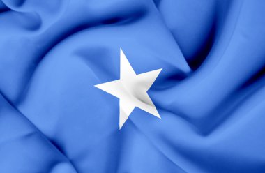 Somali dalgalanan bayrak