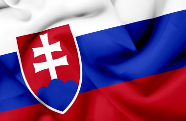Slovakya dalgalanan bayrak