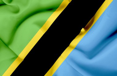 Tanzanya dalgalanan bayrak