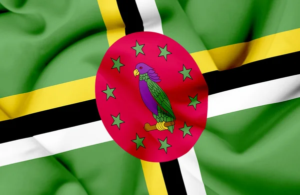 Ντομίνικα σημαία κυματίζει — Φωτογραφία Αρχείου