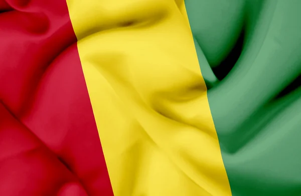 Guinea waving flag — Stock Photo, Image