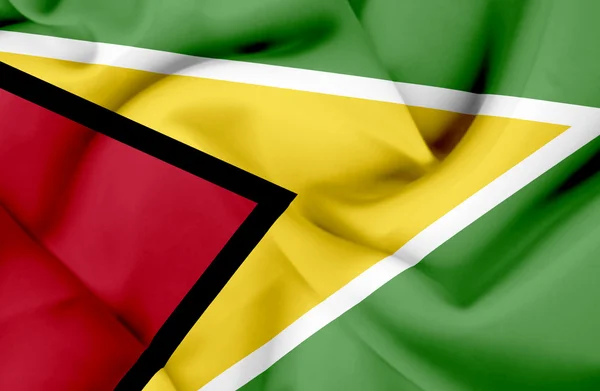 Guyana ondeando bandera —  Fotos de Stock