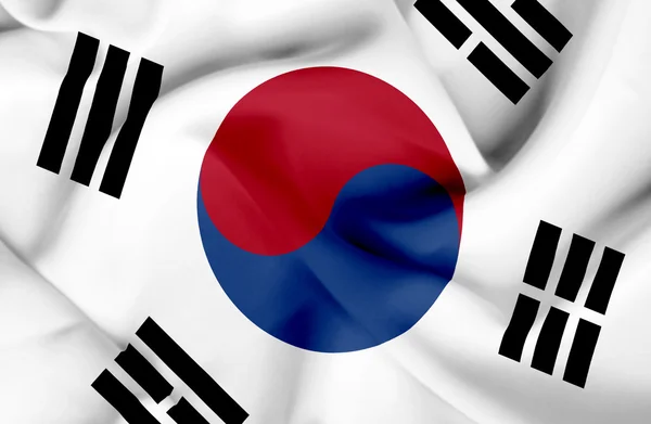 Südkorea schwenkt Flagge — Stockfoto