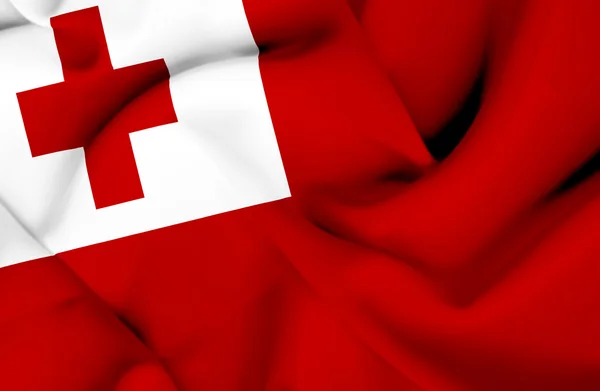 Tonga schwenkt Flagge — Stockfoto