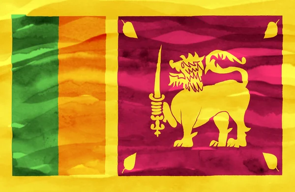 Painted flag of Sri Lanka — Stock Photo, Image