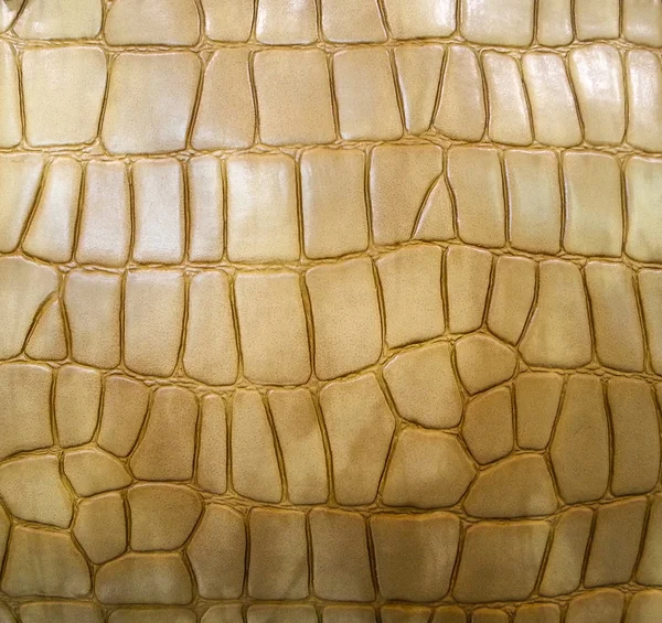 Gyllene krokodil läder bakgrund — Stockfoto