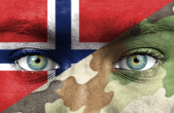 Soldado de Noruega — Foto de Stock