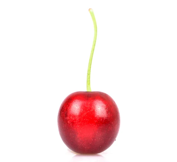 Cherry geïsoleerd op witte macro-opname — Stockfoto