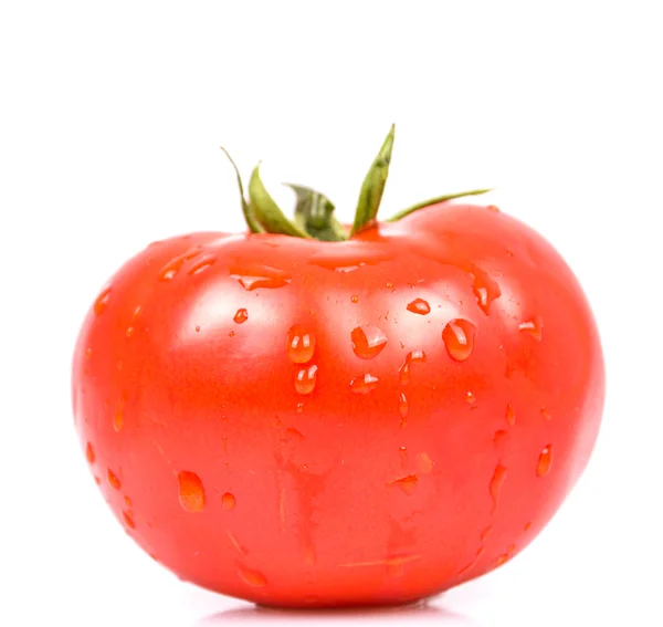 Warzyw świeżych pomidorów z kropli wody na białym tle — Zdjęcie stockowe