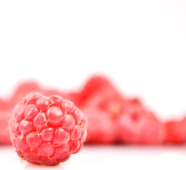 Macro shot of fresh raspberry against blured group of raspreberr — Stock Photo, Image