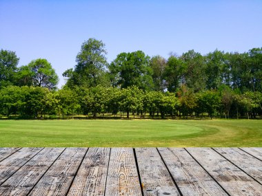 boş ahşap zemin çayır ile yeşil orman karşı