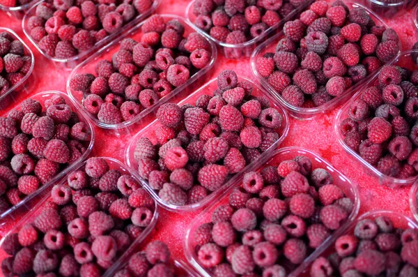 Frambuesas en cajas pequeñas para la venta en el mercado —  Fotos de Stock