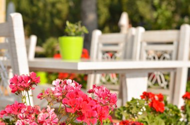 Yunan tavernası kavramı