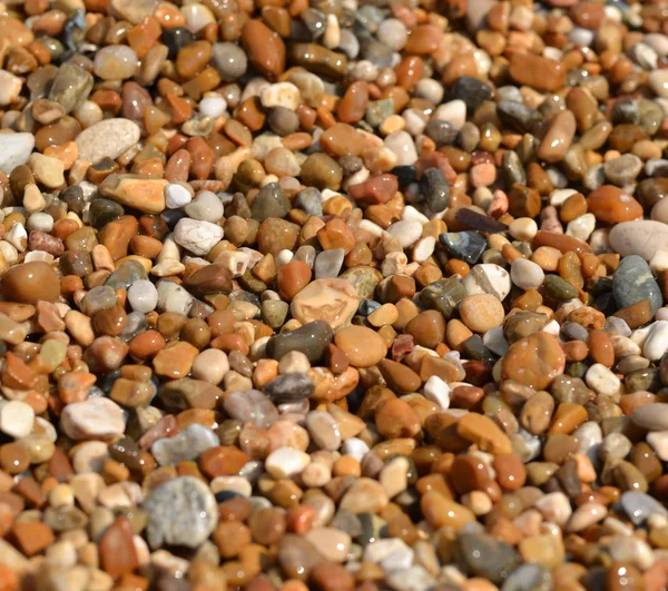 Bach pebbles macro shot — Stock Photo, Image