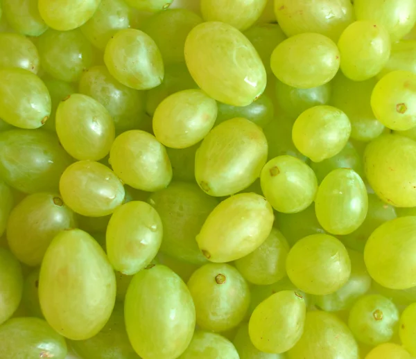 Fondo de uvas verdes frescas —  Fotos de Stock