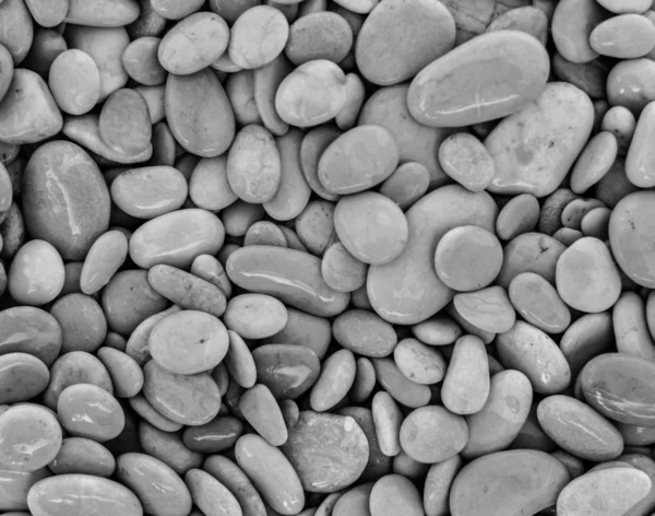 Pebble stone background in black and white — Stock Photo, Image