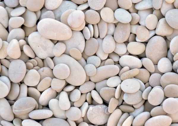Fondo de piedras marinas — Foto de Stock