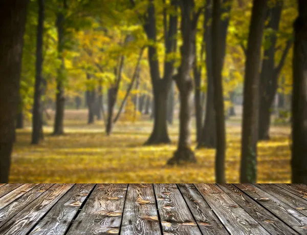 Floresta de outono e piso de madeira — Fotografia de Stock