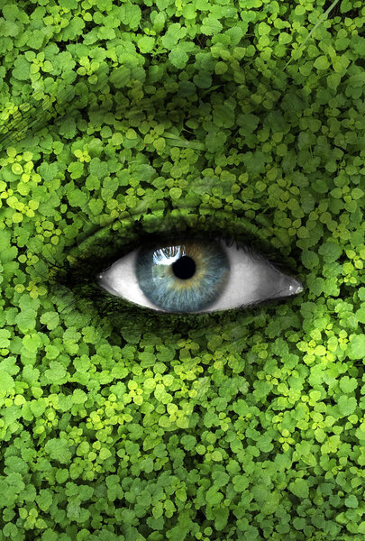 Концепция Матери-природы - Экологический фон
