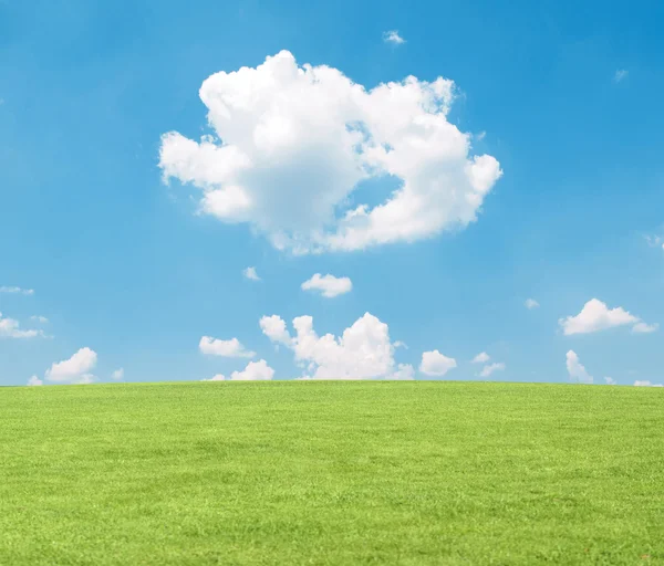 Beautiful green field and blue sky - natural landscape view — Stock Photo, Image