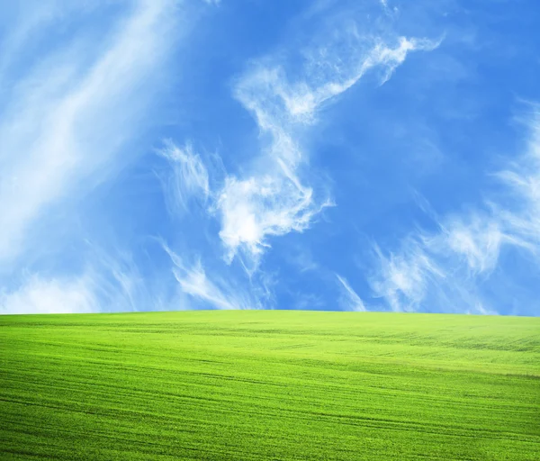 Piękne zielone pole i błękitne niebo - naturalny pejzaż widok — Zdjęcie stockowe