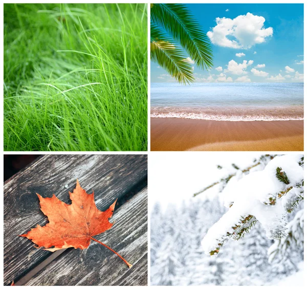 Four season conceptual collage — Stock Photo, Image