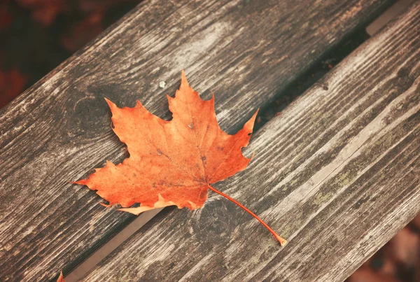 Herbstblatt auf Holzbank im Park — Stockfoto