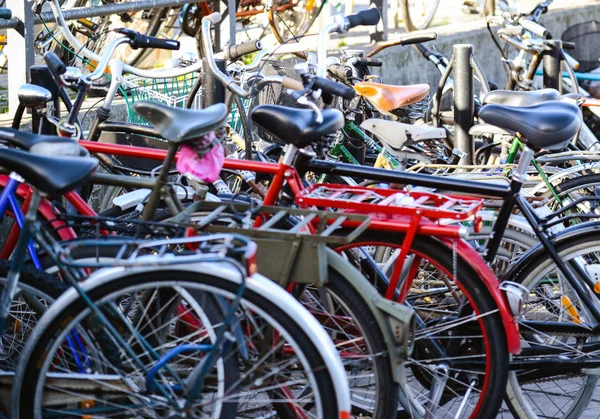 Bicicletas — Fotografia de Stock