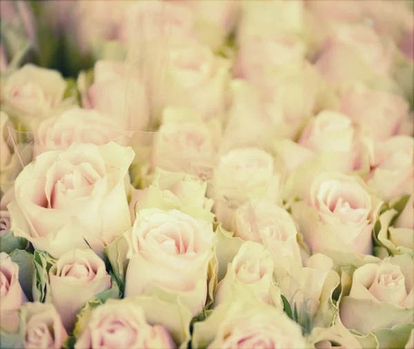 Fondo vintage de rosas en ramo — Foto de Stock