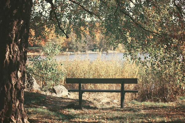 Dreamy image of park bench near lake — Stock Photo, Image
