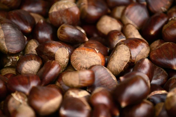 Pile of chestnuts — Stock Photo, Image